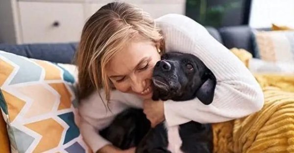 51配资 狗狗不开心，你中招了吗？4个坏习惯让它压力大，赶紧改！