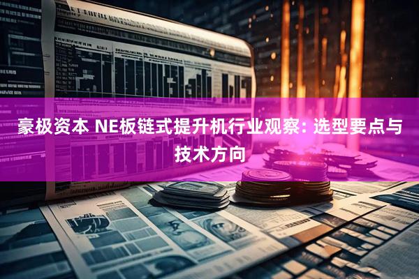 豪极资本 NE板链式提升机行业观察: 选型要点与技术方向